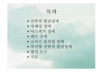 발달장애 자폐 아스퍼거 PDD-2
