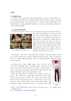 사회과학 광고 속에 나타난 성-4
