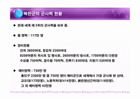 북한군의 무기체계 북한군의 무기체계 PPT 북한군의 무기체계 피피티 북한군의 무-2