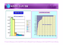 북한군의 무기체계 북한군의 무기체계 PPT 북한군의 무기체계 피피티 북한군의 무-3