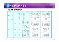 북한군의 무기체계 북한군의 무기체계 PPT 북한군의 무기체계 피피티 북한군의 무-4