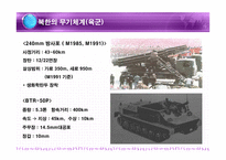 북한군의 무기체계 북한군의 무기체계 PPT 북한군의 무기체계 피피티 북한군의 무-13
