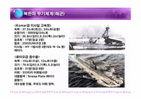 북한군의 무기체계 북한군의 무기체계 PPT 북한군의 무기체계 피피티 북한군의 무-17