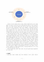 [전략기획론] 오리온그룹의 전략기획안에 대한 고찰-11