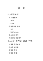 [판매촉진론] NATE ON(네이트온)의 시장분석과 광고전략-2