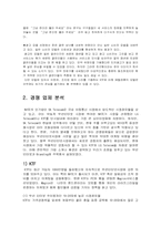 [판매촉진론] NATE ON(네이트온)의 시장분석과 광고전략-8