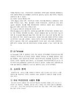 [판매촉진론] NATE ON(네이트온)의 시장분석과 광고전략-9
