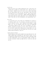 [판매촉진론] NATE ON(네이트온)의 시장분석과 광고전략-12