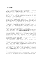[유로화통합] 유로화 도입에 따른 EU기업들의 대응전략-3