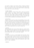 미래의 직업 레포트-5
