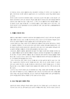 [서양문화] 독일 나치즘 하에서의 홀로코스트에 대한 고찰-11