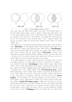 [인간관계심리학] 이성관계 -사랑-5