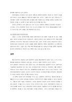 [사회윤리] 청계천복원사업의 윤리적인 입장과 문제점-13