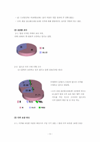 [뉴미디어] 예술과 디지털카메라(디지털사진)-9