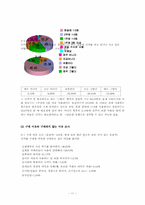 [뉴미디어] 예술과 디지털카메라(디지털사진)-11