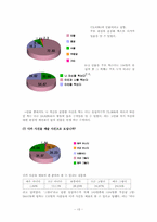 [뉴미디어] 예술과 디지털카메라(디지털사진)-13