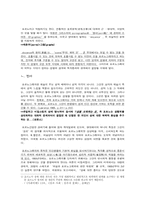 [포르노소설] 디지털시대의 문학 포르노게시판 소설 분석-5