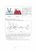 [일반물리] 빛 Light-3