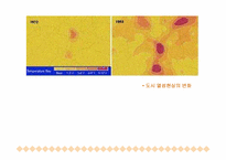 [도시환경문제] 도시열섬현상-8