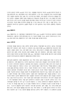 [마케팅전략] 삼성 mp3플레이어 옙(yepp) 마케팅전략제안-13