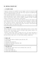 벤처중소기업문제에 대한 정책의 방안-10