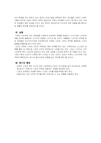 리복 전략분석 레포트-11