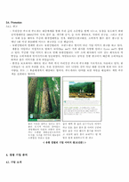 [환경경영] 유한킴벌리 환경경영사례 분석 보고서-15