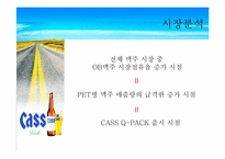 [마케팅] CASS 카스큐팩맥주 마케팅분석-8