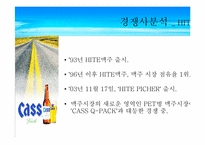 [마케팅] CASS 카스큐팩맥주 마케팅분석-13