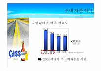 [마케팅] CASS 카스큐팩맥주 마케팅분석-14