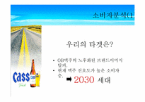 [마케팅] CASS 카스큐팩맥주 마케팅분석-15