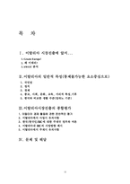 [국제마케팅] 현대자동차 이탈리아 진출사례-12