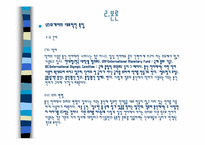 [언어학] 10-20대들의 외계어 사용에 관한 연구-7