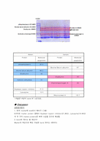[단백질분리정제 실습] SDS-polyacrylamide gel electrophoresis-8