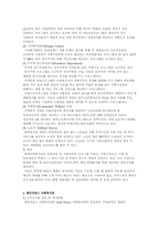 [사회복지발달사] 미국의 지역복지-11