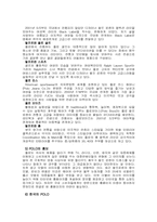 [마케팅조사론] polo 폴로 브랜드이미지 개선방안-8