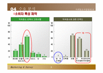 [마케팅조사론] 패스트푸드 중대점 창업 및 마케팅전략-6
