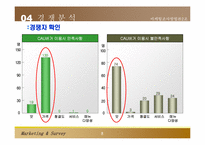 [마케팅조사론] 패스트푸드 중대점 창업 및 마케팅전략-9