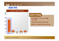 [마케팅조사론] 패스트푸드 중대점 창업 및 마케팅전략-10