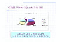 [스포츠광고] 스포츠광고의 이미지와 광고 효과-9