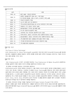 [국제마케팅전략] SM엔터테인먼트의 `보아` 성공적인 해외 진출 사례-2