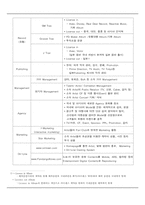 [국제마케팅전략] SM엔터테인먼트의 `보아` 성공적인 해외 진출 사례-4