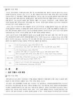 [국제마케팅전략] SM엔터테인먼트의 `보아` 성공적인 해외 진출 사례-5