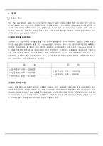 [국제마케팅전략] SM엔터테인먼트의 `보아` 성공적인 해외 진출 사례-13