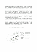 LG전자의 중국진출사례-16
