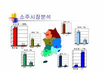 [광고론] 대전양주(주) C1(시원소주) 수도권진입전략-5