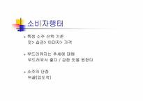 [광고론] 대전양주(주) C1(시원소주) 수도권진입전략-9