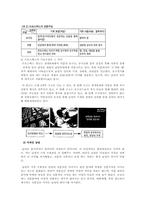 [광고] 광고 속의 성차별-5