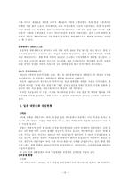 [대중문화] 문화의 전파와 이동-16