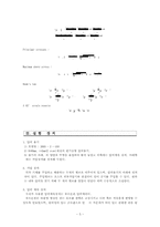 [고체역학 및 실험] 평면응력측정실험-5